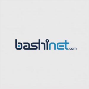 ultra_premium_domain_name_bashinet.com_bashinet_internet_domain_names_domain_name_max
